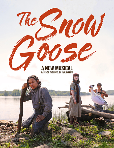 The Snow Goose