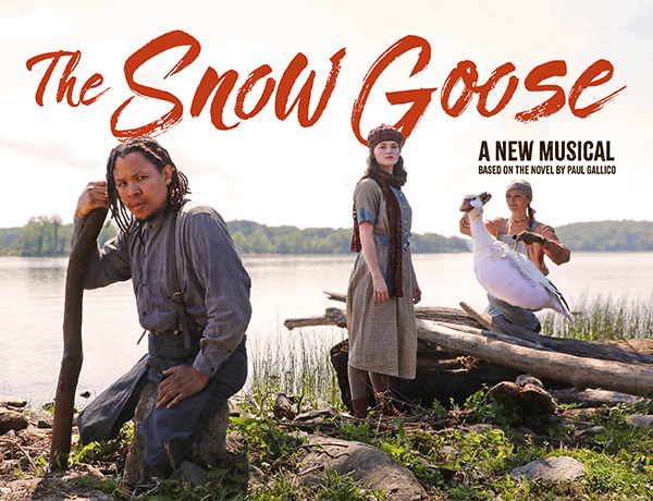 The Snow Goose