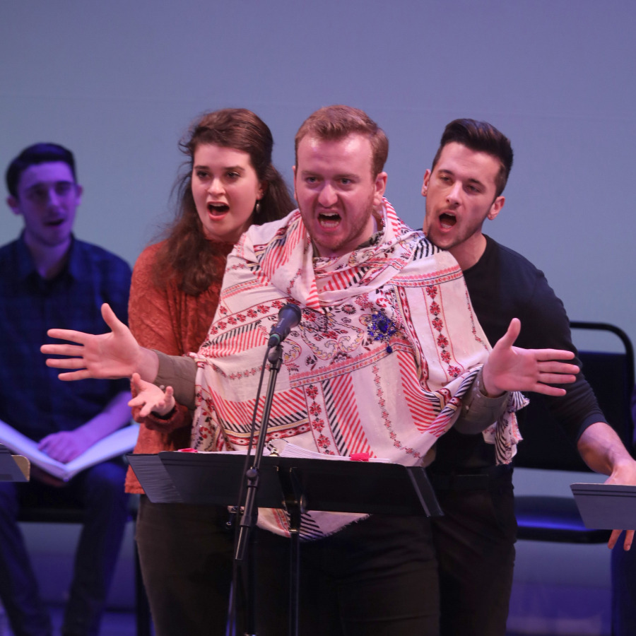 The Peculiar Tale of The Prince of Bohemia and The Society of Desperate Victorians