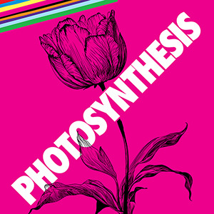 Photosynthesis
