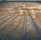 Tree Scrim View 3, 29'11.5