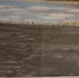 Landscape Scrim 28'x18'