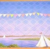 Picnic Drop 22'9