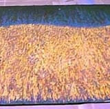 Show Drop 1 28'x19'