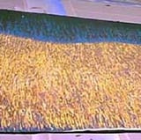 Show Drop 2 28'x19'