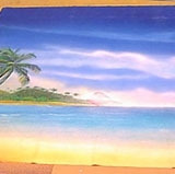 Radio Show Drop 26'10''x17'
