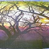 Arbor Drop NY 40'x24'