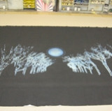 Mousical Nice Very Punch Drop 27'-9''w x 19'-11''h
