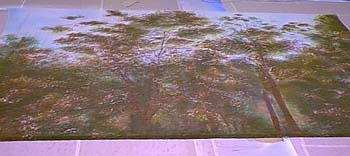 Trees Scrim - 19'-5