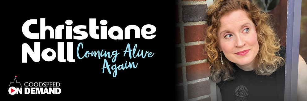Christiane Noll: Coming Alive Again show poster