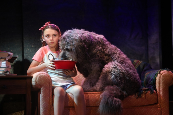 Josie Todd (Opal) and Bowdie (Winn Dixie) of Goodspeed Musicals’ Because of Winn Dixie, extended by popular demand through September 5 at The Goodspeed. Photo by Diane Sobolewski.