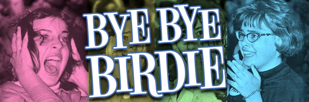 Bye Bye Birdie show poster