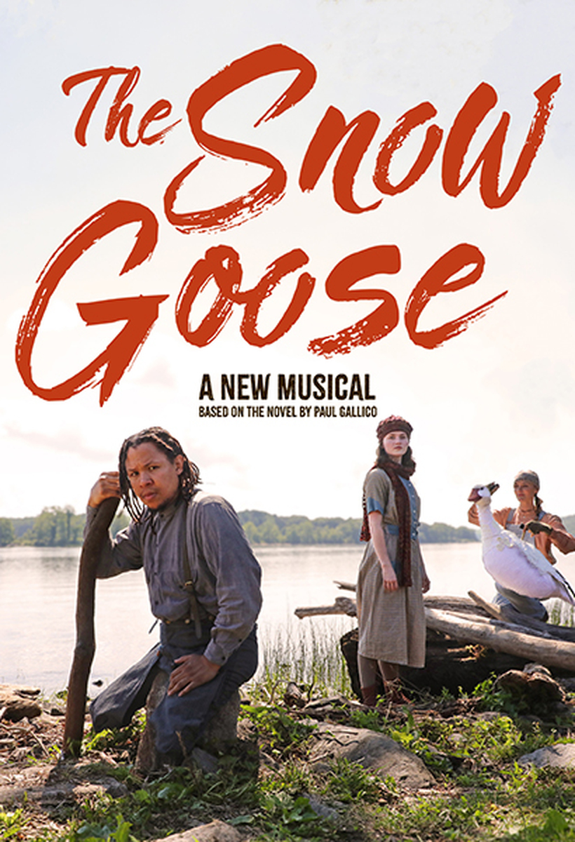 The Snow Goose poster